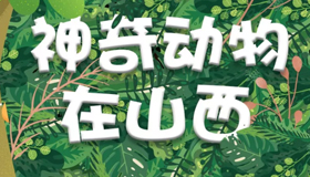 【漫画】保护生物多样性，神奇动物在山西