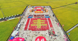 2020年黑龙江省农民丰收节开幕
