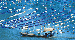 海上渔耕