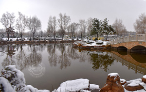雪落武乡 银装素裹美不胜收