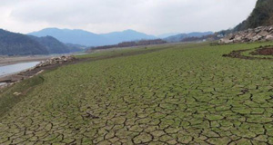 50年一遇！浙江多地旱情严重