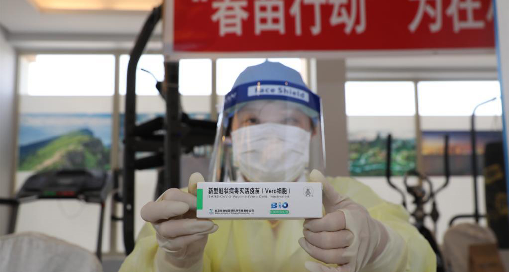 春苗行动为在科威特中国公民撑起保护伞