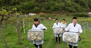 “以虫治虫”防虫害