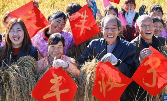 苏陕协作结硕果 优良水稻获丰收
