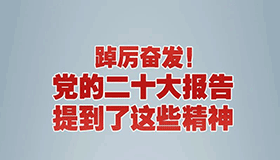 踔厉奋发！党的二十大报告提到了这些精神