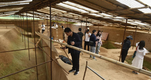探访考古遗址 溯源中华文明