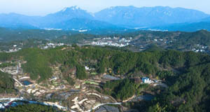 大别山麓药材种植富乡村