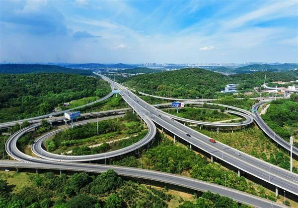 浙江奉化：群龙汇聚大巡游