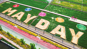 多彩稻田 魅力太原7月11日，俯瞰省城稻田公园，巨幅“MAY DAY”画面映入眼帘，让人赏心悦目。园方此举旨在助力太原演唱会经济。