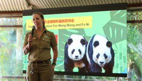 欢送大熊猫活动在澳大利亚举行