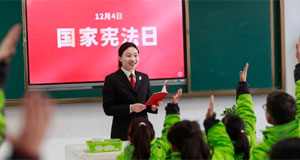 多种活动迎接国家宪法日
