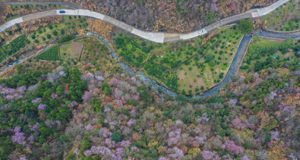 特色美景助力乡村共富