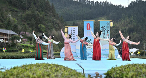 梦回“茶马古道” 古街春茶飘香