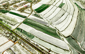 喜降“桃花雪 ”润泽垣上地