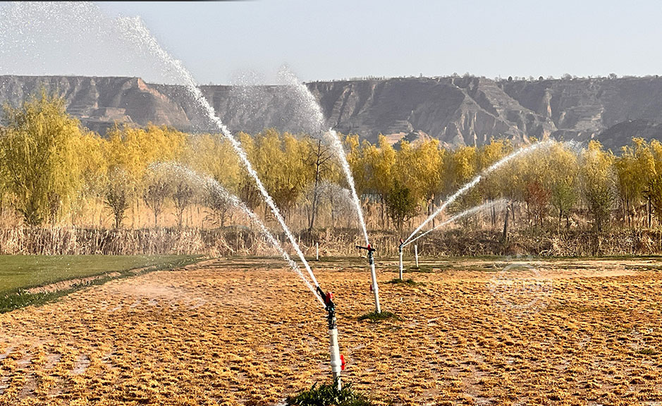 平陆：智慧喷灌助力抗旱保苗 