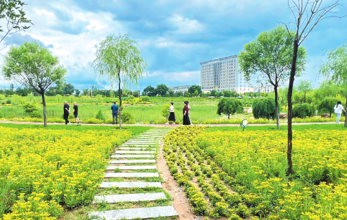 “城市绿肺”沁人心脾河曲县黄河省级湿地公园，湿地率达76%，通过科学划分保育区、恢复重建区、合理利用区，构建起完善的生态保护体系。