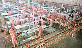 �W��������Ʈ��~