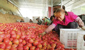 �����G��a����U�G�ۥ_�ʷs�o�a