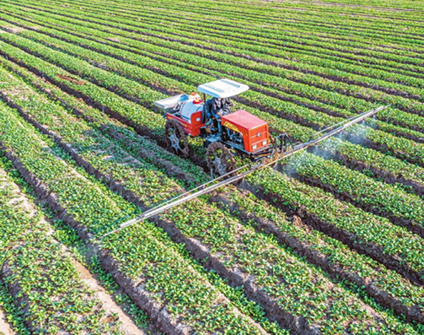 �m��A�ɫO����