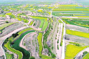 �^�s�G�m����񡧪O�Ūᡨ