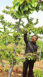 ��ݪG��E�G