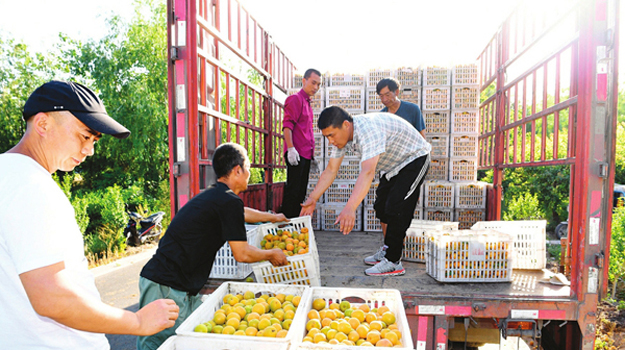 �������F �G�A�I�F