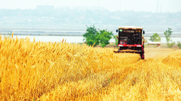 �߬��צ����P�����̻��H