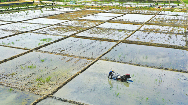 �ʯ����_�}�l����