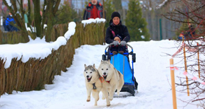 �իXù���G�V�鵣��