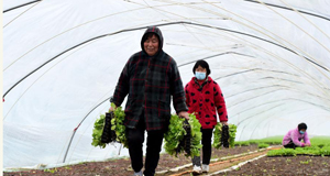 �j�׸̪��K��