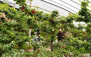 �s�覱�U�G�S����禨���u  