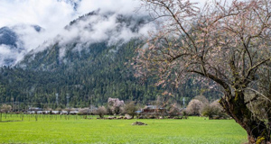 ���êi�K�����p�e