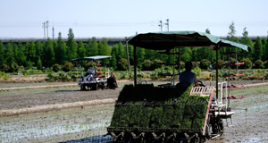 �W���G�߮L�Ѻئ�