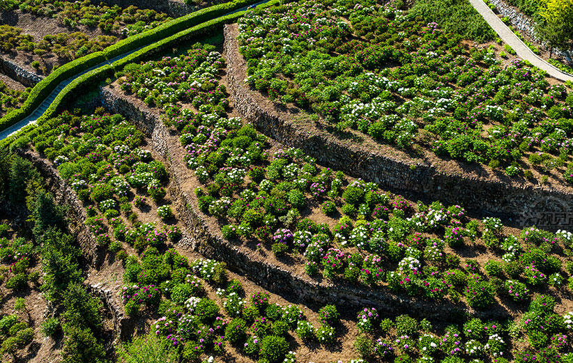 �d���v�۶}�� �ɨɬK�⺡��