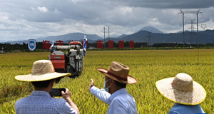 ���n������_2022�~���u���_����