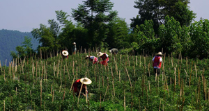 �����U�A�b�ж�