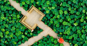 �ѪŤ������TĬ�G�̬ܤs