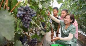 �A�ȿĦXø�N�m���������R�e��