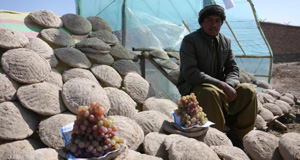 千年泥罐“康伽纳”