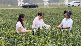 �M�a�ж� ����ߡ� �@���³�W��8��25��A�٨��l��t�M�a�ղ`�J������������������@���ܭS��a�A��a�����ߴ����l���աC